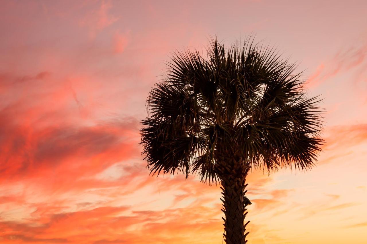 1314 Pelican Watch - Seabrook Island - Beachfront 5 Star Condo - Fido Friendly Экстерьер фото