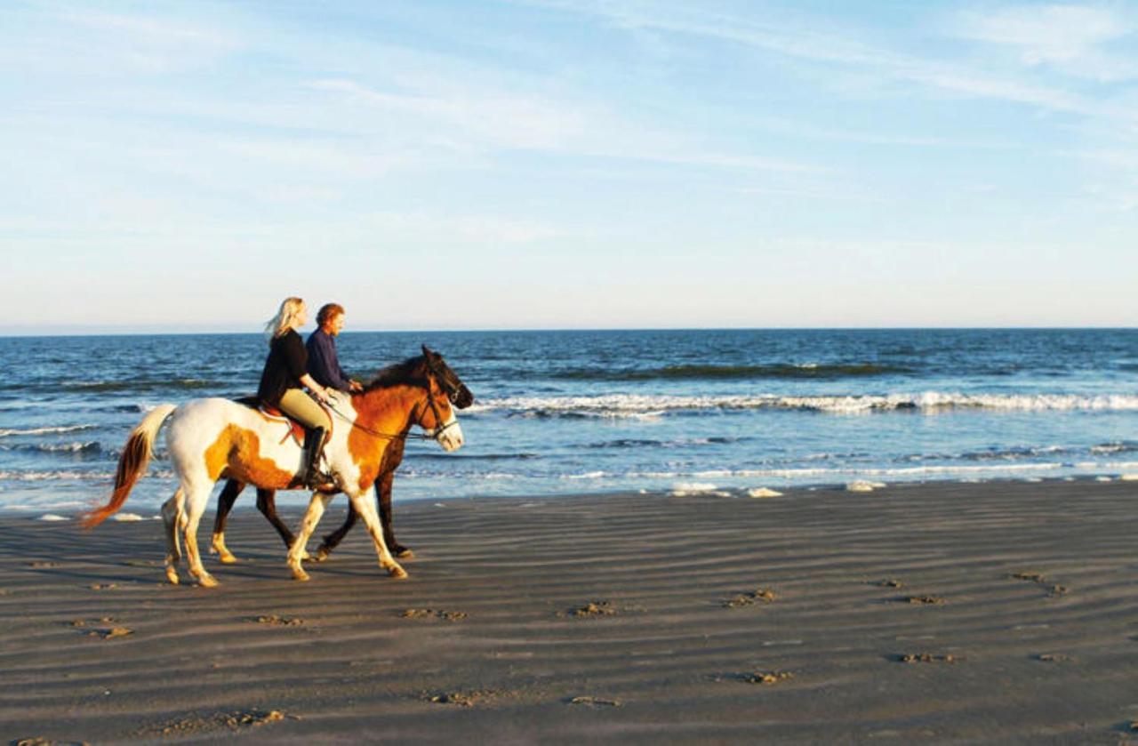 1314 Pelican Watch - Seabrook Island - Beachfront 5 Star Condo - Fido Friendly Экстерьер фото